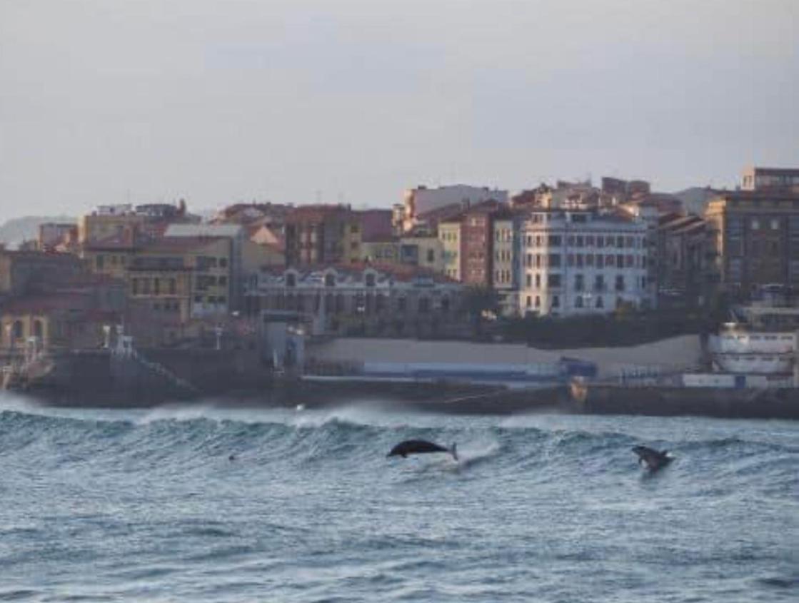 Alojamientos Muelle De Gijón Esterno foto